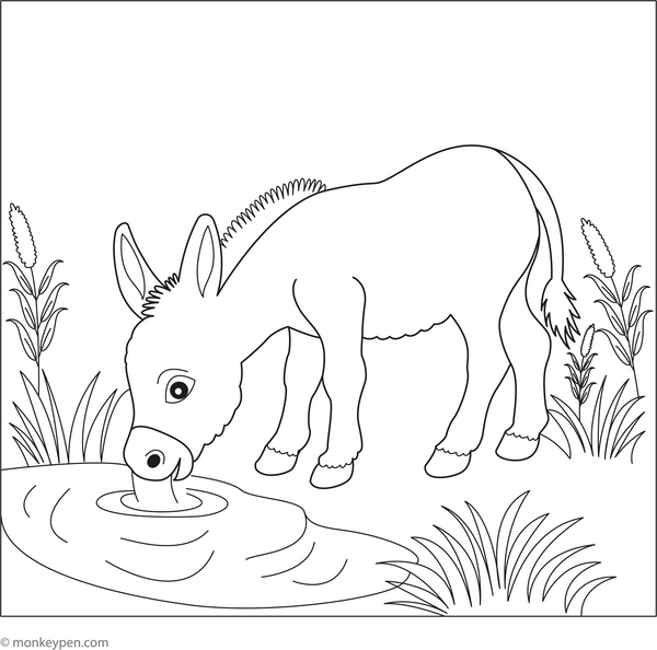 Donkey at a Watering Hole coloring page – free printable for kids to color and enjoy