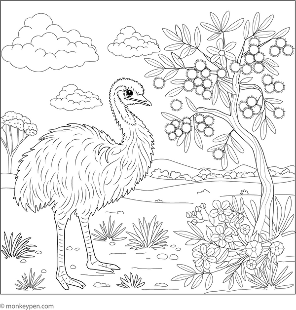 Emu Coloring Book (Printable PDF)