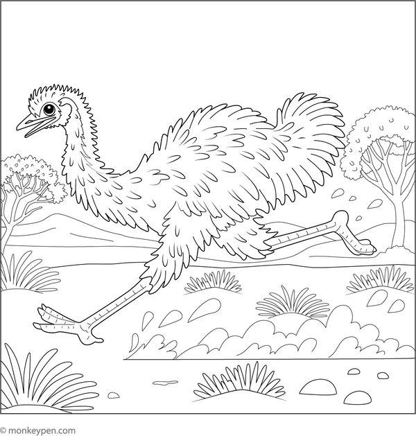 Emu Coloring Book (Printable PDF)