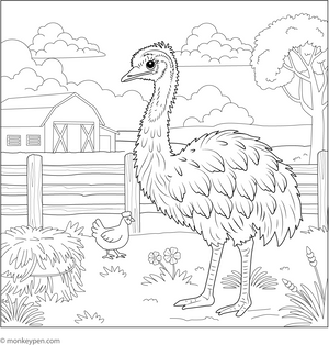 Emu in a Farmyard coloring page – free printable for kids to color and enjoy