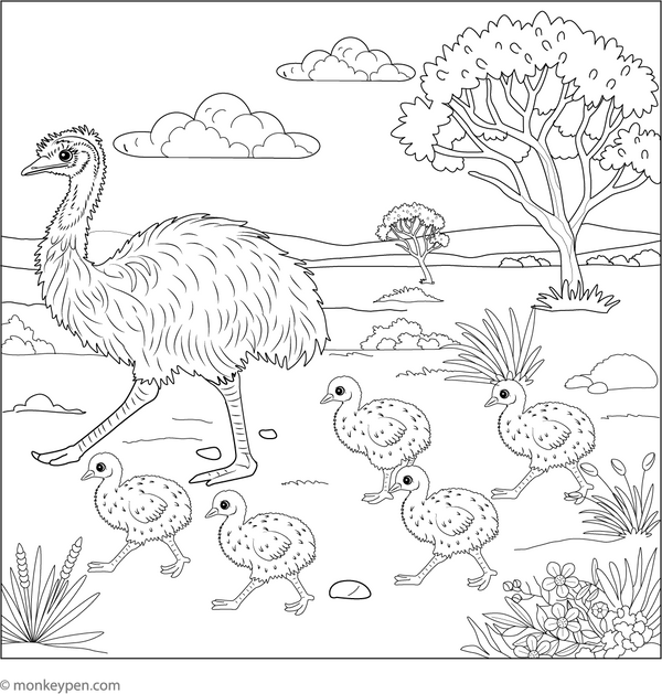 Emu Coloring Book (Printable PDF)