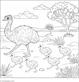 Emu Bird with Chicks coloring page – free printable for kids to color and enjoy