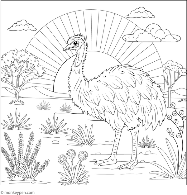 Emu Coloring Book (Printable PDF)