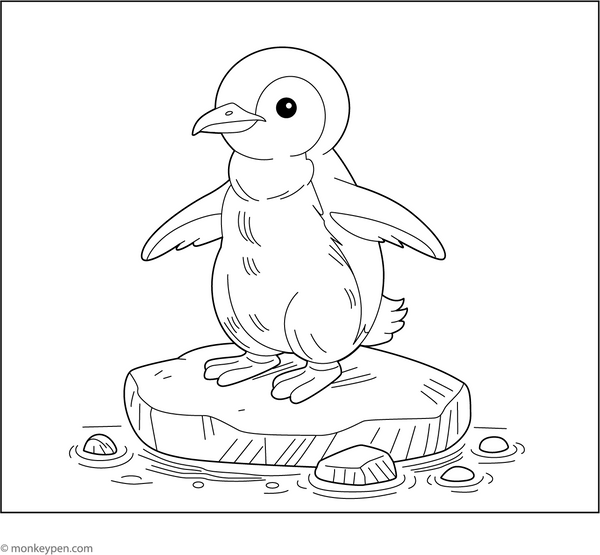 Galapagos Penguin colouring Page coloring page – free printable for kids to color and enjoy