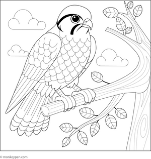Falcon on Tree Branch coloring page – free printable for kids to color and enjoy