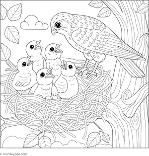 Falcon Nest with Chicks coloring page – free printable for kids to color and enjoy