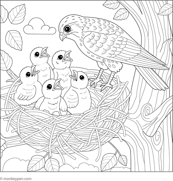 Falcon Nest with Chicks coloring page – free printable for kids to color and enjoy