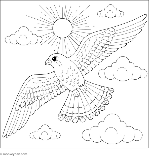 Falcon in Flight coloring page – free printable for kids to color and enjoy