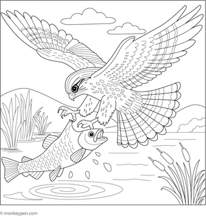 Falcon Catching Prey coloring page – free printable for kids to color and enjoy