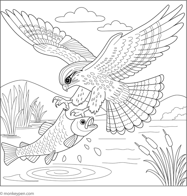 Falcon Catching Prey coloring page – free printable for kids to color and enjoy