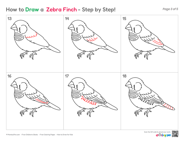 Simple zebra finch sketch for beginner artists.