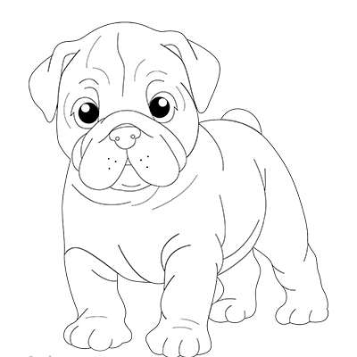Dog Coloring Book