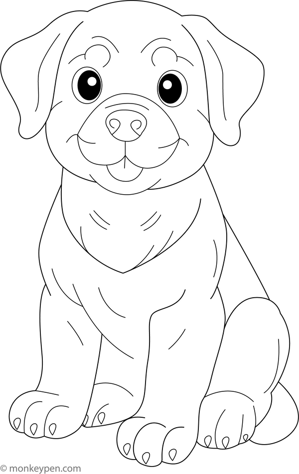 Rottweiler coloring page – free printable for kids to color and enjoy