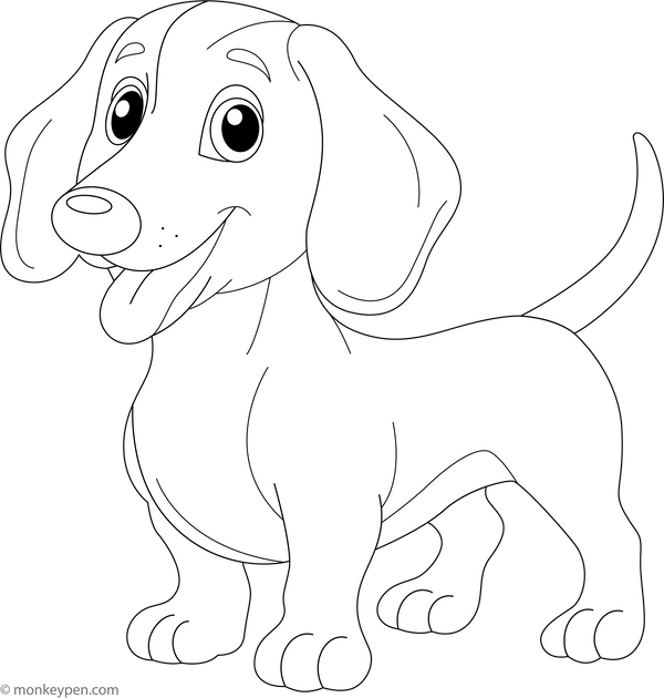 Dachshund coloring page – free printable for kids to color and enjoy