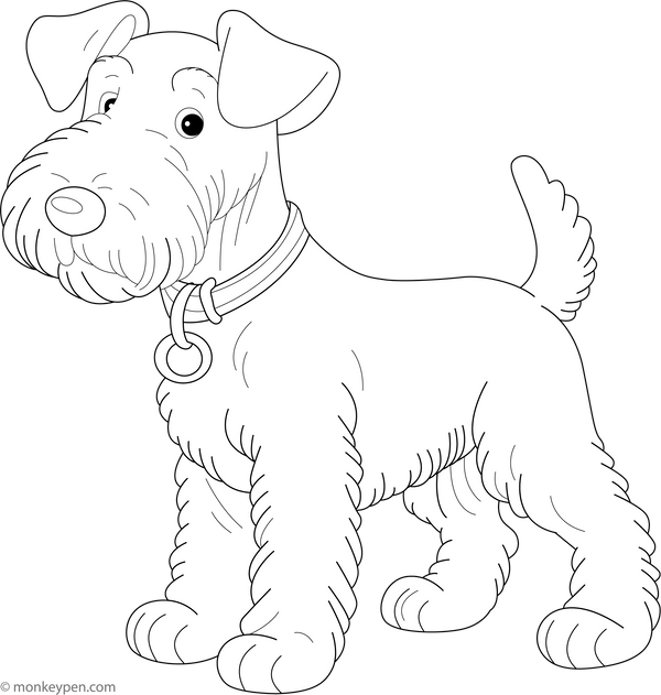 Dog Coloring Book