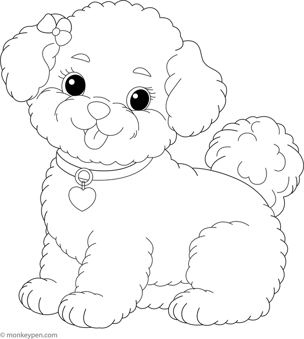 Bichon coloring page – free printable for kids to color and enjoy