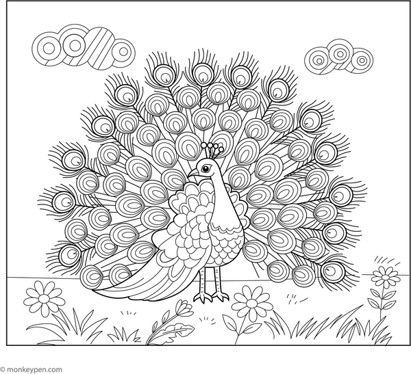 Peacock in Full Glory coloring page – free printable for kids to color and enjoy