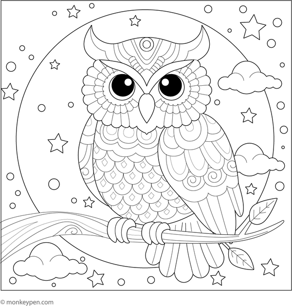 Owl Coloring Book - Instant Download