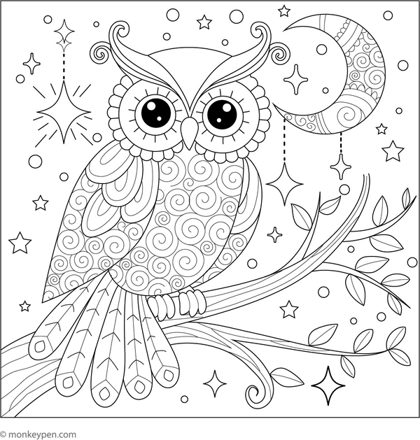 Owl Coloring Book - Instant Download