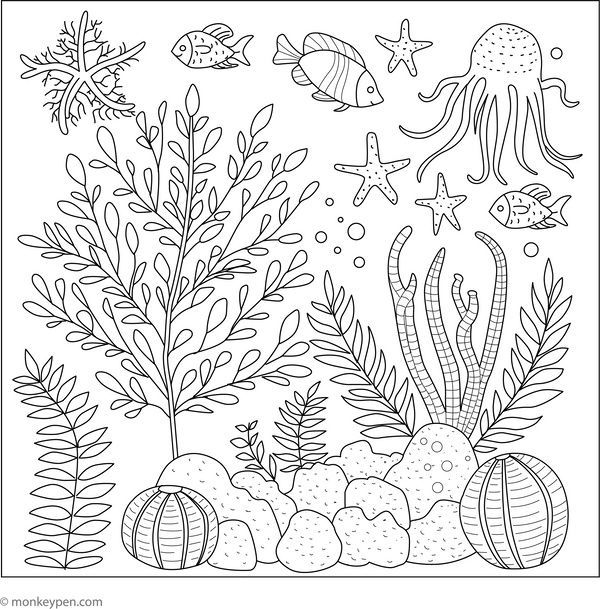 Sea Plant Coloring Page