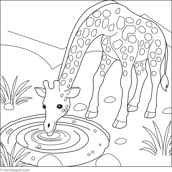 Giraffe Coloring Book