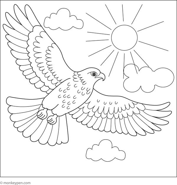 Hawk Coloring Book in PDF Format