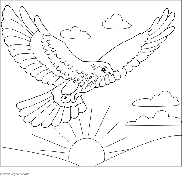 Hawk and the Sunset coloring page – free printable for kids to color and enjoy