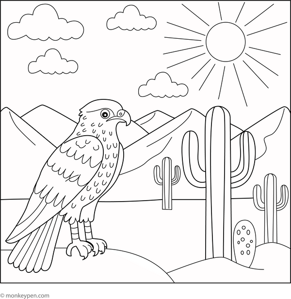 Hawk Coloring Book in PDF Format
