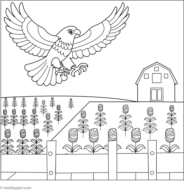 Hawk Coloring Book in PDF Format
