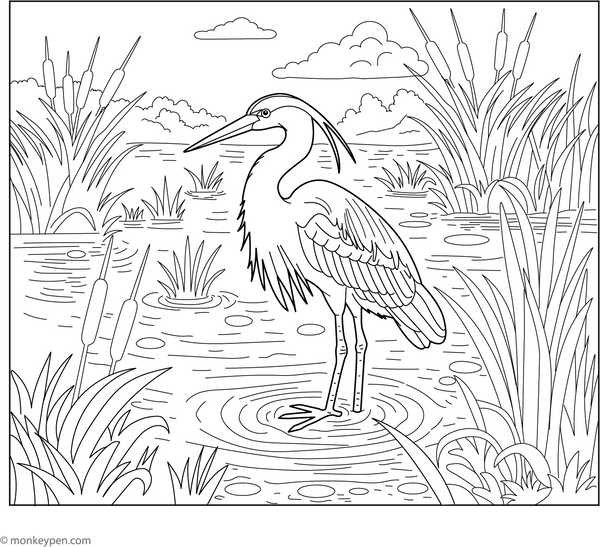 Heron in a Marsh coloring page – free printable for kids to color and enjoy