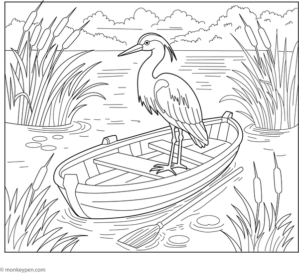 Heron Coloring Book (PDF)