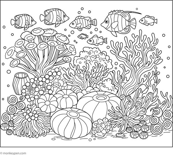 Coral Reefs coloring page – free printable for kids to color and enjoy