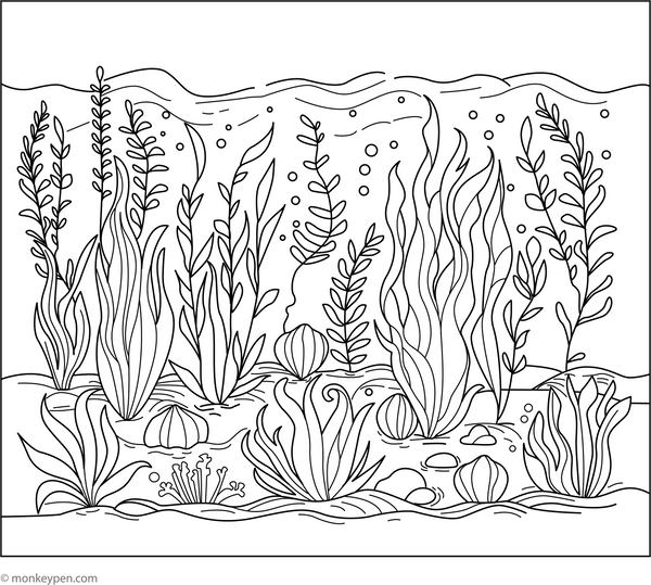 Sea Plants and Algae coloring page – free printable for kids to color and enjoy