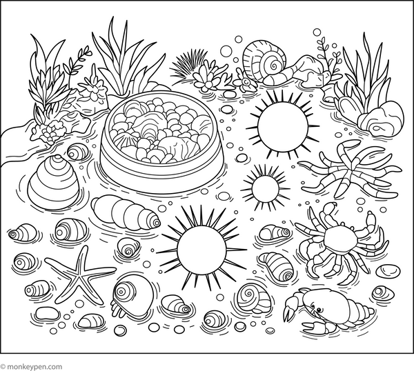 Tide Pools coloring page – free printable for kids to color and enjoy