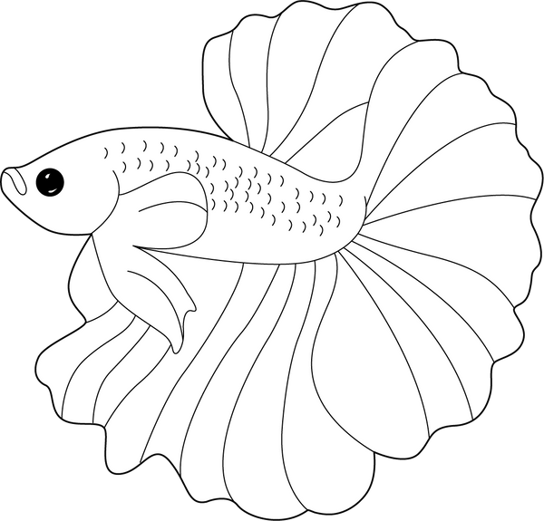 Betta Fish coloring page – printable aquatic animal art for kids