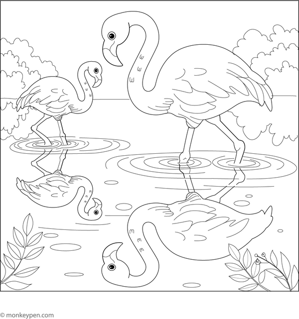 Flamingo and its Reflection Coloring Page