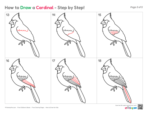 Step-by-step cardinal sketch featuring a pointed crest and feather details.