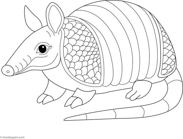 Armadillo Coloring Page