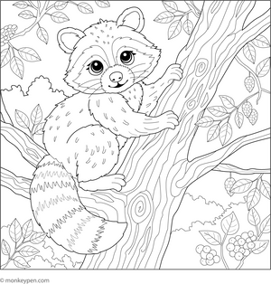 Raccoon in a Tree coloring page – free printable for kids to color and enjoy