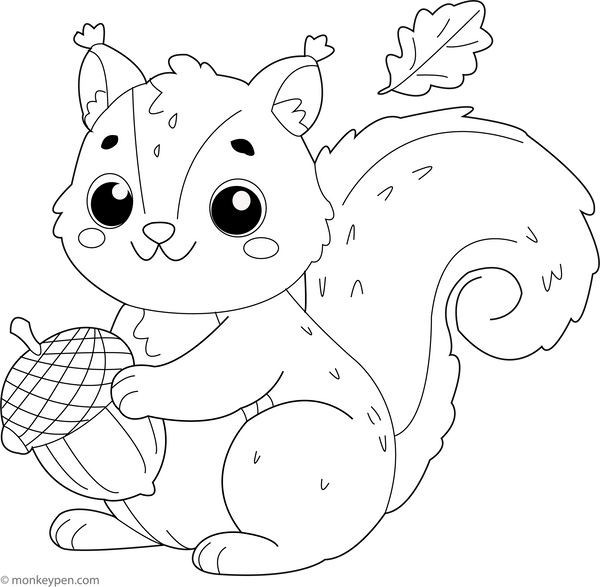 Squirrel Coloring Book
