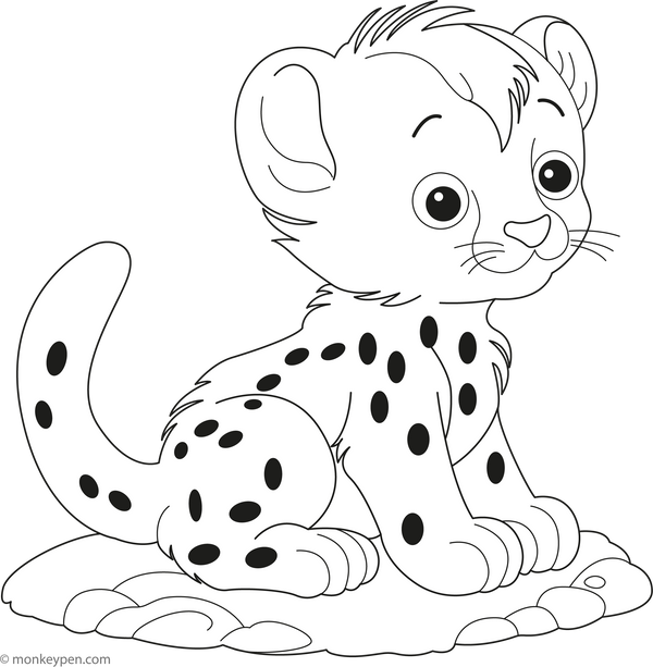 Free Cheetah Coloring Book (Printable PDF)