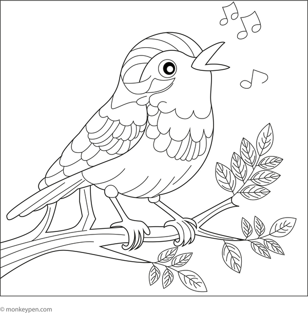 Nightingale coloring page – free printable for kids to color and enjoy