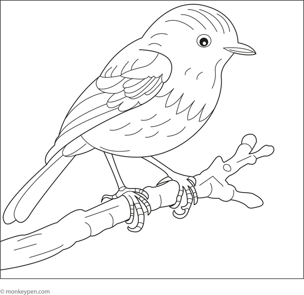 Birds Coloring Book – Download PDF