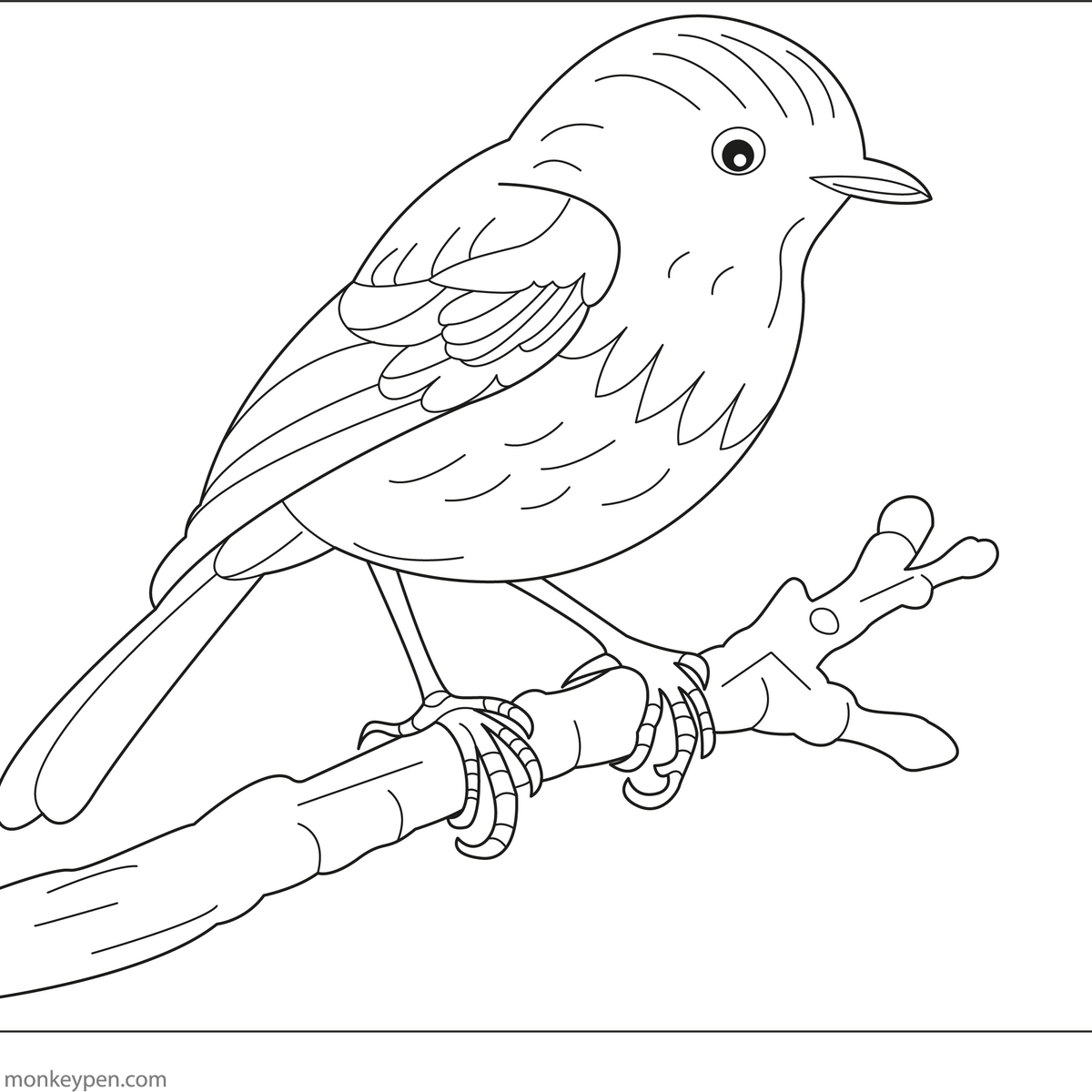 Bird Coloring Pages Robin 2025 bird-coloring-pages-robin-2025