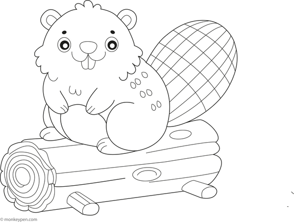 Beaver coloring page – free printable for kids to color and enjoy