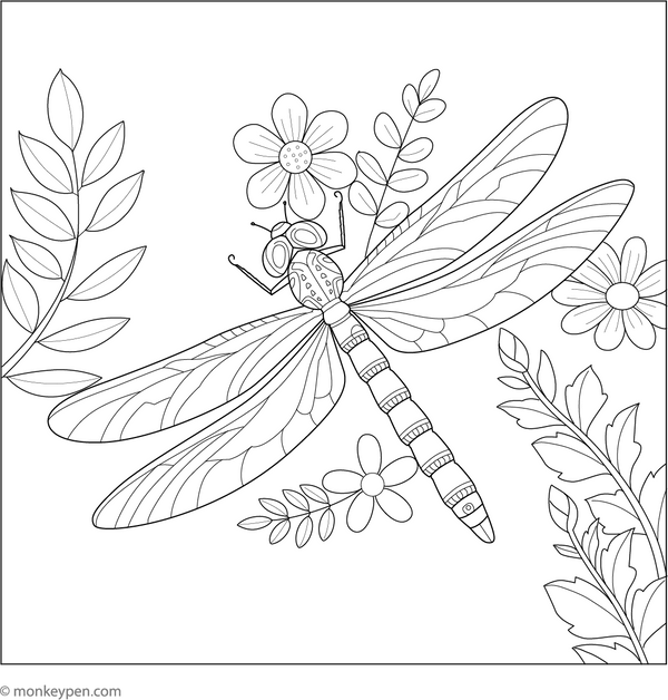 Dragon Fly coloring page – free printable for kids to color and enjoy