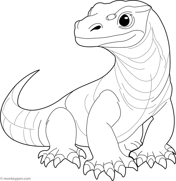 Reptile Coloring Book