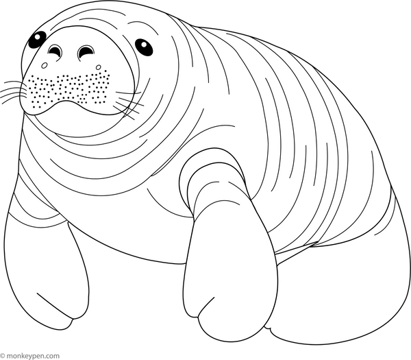 Manatee coloring page – free printable for kids to color and enjoy