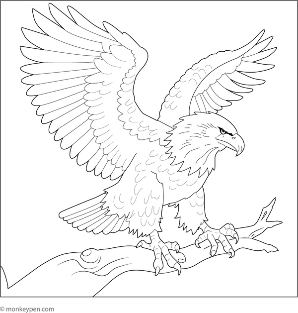 Bald Eagle coloring page – free printable for kids to color and enjoy