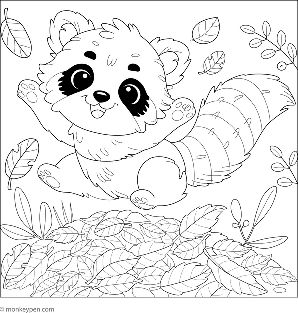 Raccoon Coloring Book